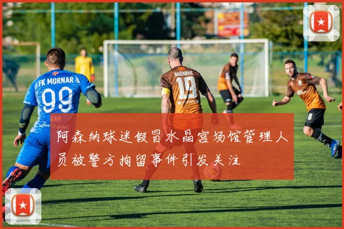 阿森纳球迷假冒水晶宫场馆管理人员被警方拘留事件引发关注