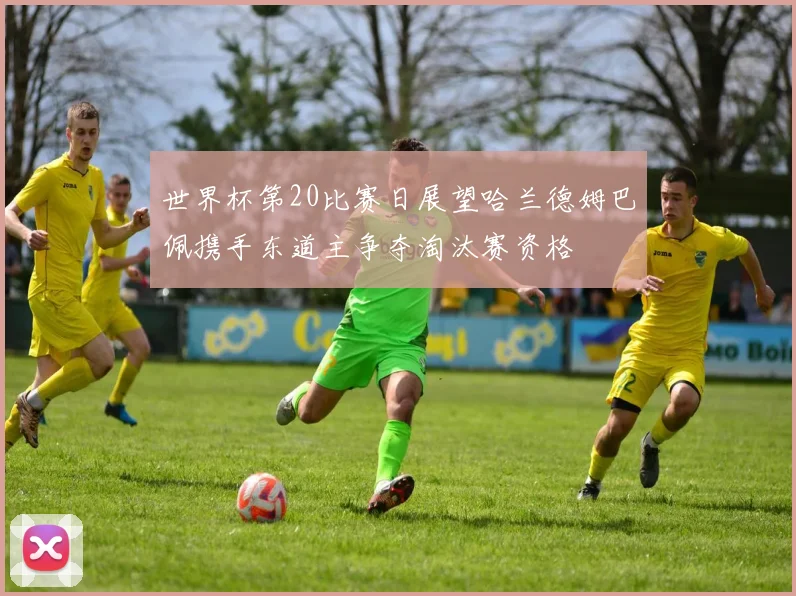 世界杯第20比赛日展望哈兰德姆巴佩携手东道主争夺淘汰赛资格
