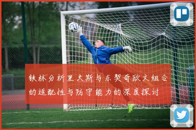 铁林分析里夫斯与东契奇欧文组合的适配性与防守能力的深度探讨